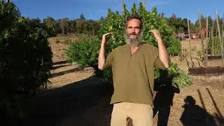 Santa Cruz - ONSITE CONSUMPTION & ONSITE RETAIL at licensed cannabis farms!!!!  Getting closer!