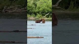 Камчатка
