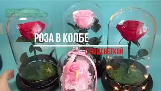 Новинка 2018 года. Роза в колбе с подсветкой.