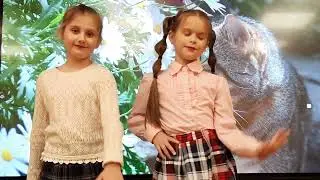 STAR KIDS - Ромашковая кошка