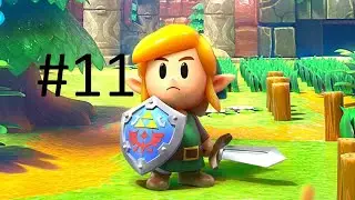 Lets Play Links Awakening Part 11 (Playing Music for a Walrus!)