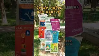 FERTILIZERS: which ones ARE POSSIBLE and which ones CANNOT be used for PETUNIA and other flower c...