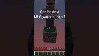 The Best Villager in Minecraft