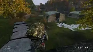 Walking Sim (DayZ)