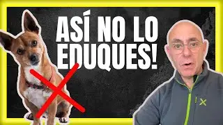❌ Lo que Haces MAL con Tu PERRO aL ENTRENARLO y EDUCARLO