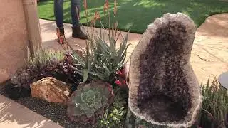 Scripps Ranch Succulent Garden Grand Reveal