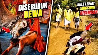 LAGI NYEMBAH SAPI MALAH DISERUDUK ! MOMEN NGAKAK PRINDAVAN PART 13