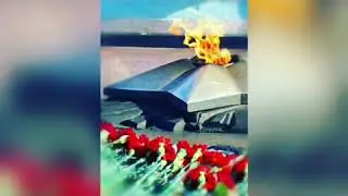 9 мая 2020 г.
