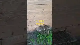 ЖАРА?😁