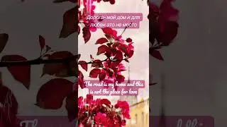 🌸Мой рок-н-рол🌸