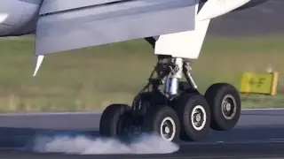 Rockin' Wheels close-up