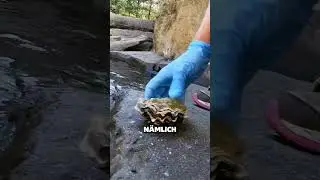 Eine Otte zum Mitnehmen bitte
