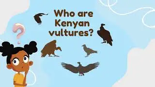 Let’s Learn About Vultures