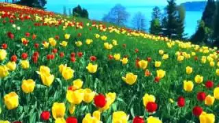 ChillOut Music
