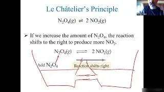 Chapter 10: Lecture 2 - Le Chatelier's Principle