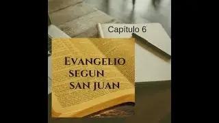 El evangelio según San Juan cap. 6