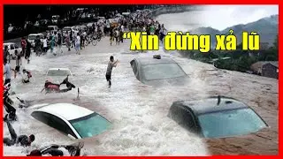 5/7: Dân Tp Nghi Xương cầu xin trung ương can thiệp, PHượng Hoàng Cổ Trấn thành bãi tha ma vì lũ lụt
