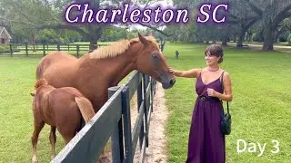 Charleston SC. Плантация