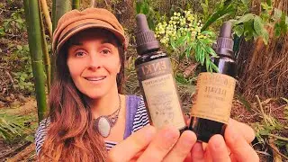 Alchemical Spagyric Tinctures