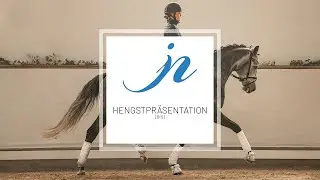Hengstpräsentation 2023