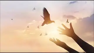 Paz para o mundo 01