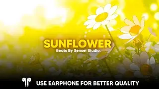 Sensei Studio - Sunflower Lofi Remix / Royalty Free Lofi Music #senseistudio