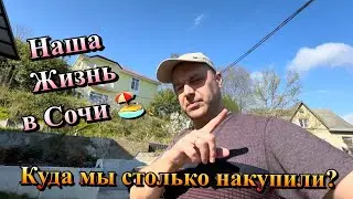 Работаем на Даче в Сочи и Собираемся в Дорогу ❗️