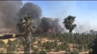Bosbrand Evora