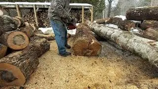 Bucking Maple with Old Husqvarna Chainsaws