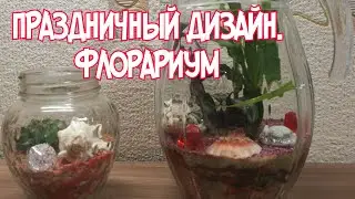 ФЛОРАРИУМ - ГРАФИН. СУККУЛЕНТЫ. НОВОГОДНИЙ ДЕКОР
