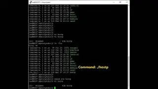 Linux 94 (Checking Remote Server Connectivity)