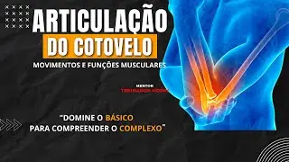 ARTICULAÇÃO DO COTOVELO: Movimentos e funções musculares. Método D.A.M