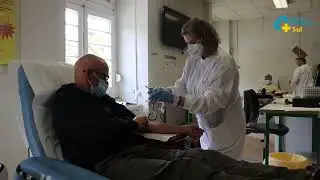 Dia Nacional do Dador de Sangue