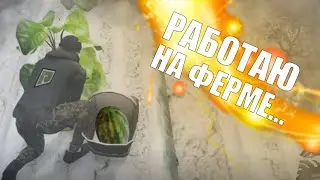 СРОЧНАЯ ИН-ФА! Я УСТРОИЛАСЬ РАБОТАТЬ ФЕРМЕРОМ ! ВЫПОЛНЯЛИ ЗАДАНИЯ, НО ИНТЕРНЕТ ПОДСТАВИЛ...