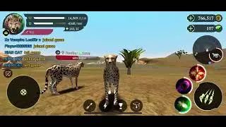 Random ahh video (the cheetah)