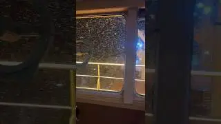 Пчелы атакуют судно 