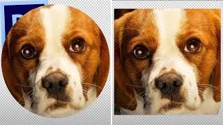 Cara Crop Foto Dan Objek Dengan Cepat - Adobe Photoshop Indonesia