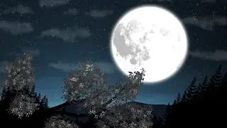 Free Night Animation Footage | No Copyright Footage 