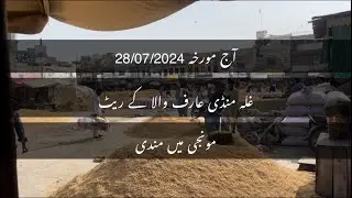 غلہ منڈی عارف والا کے ریٹ مکئی مونجی تل اور کپاس کے ریٹ