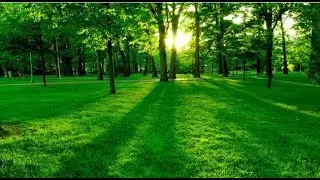 Спокойная музыка для медитации и снятия стресса - 2 часа релакса музыка для сна