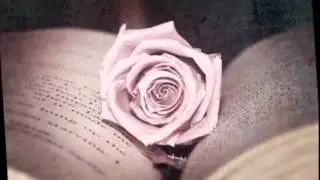 Мэри Кэй Эш посвящаю.