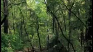 frühlingsbilder