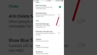 How to See Deleted Message and Status on GB 