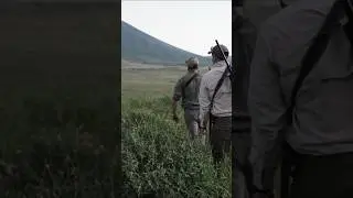 Cheetah Encounter in Tanzania