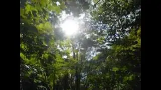 A WALK THROUGH St NECTANS GLEN