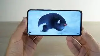 Samsung Galaxy A60 Review: Display