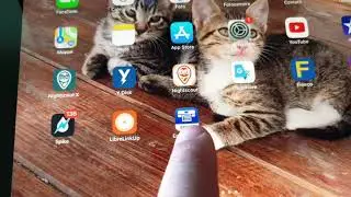 Tradurre testo con ipad iphone e  android