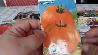 NEW SEED REVIEW FOR 2021
