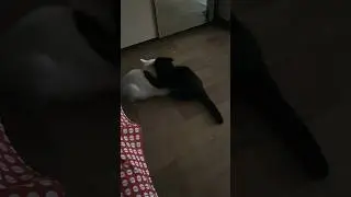 Бой #2 извиняюсь за ванючие носки в кадре 😂