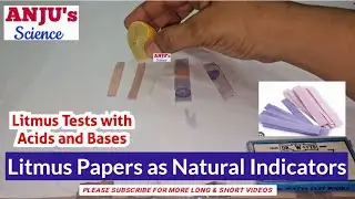 #Litmus Papers Test with Acids and Bases #anjus_science